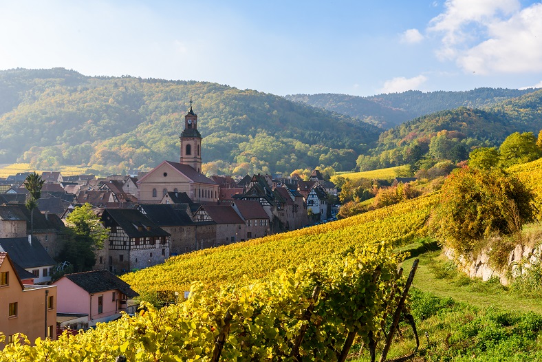Alsace vignes automne iDealwine