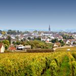 Domaine des Comtes Lafon | Elégance et prestige au cœur de la Côte de Beaune