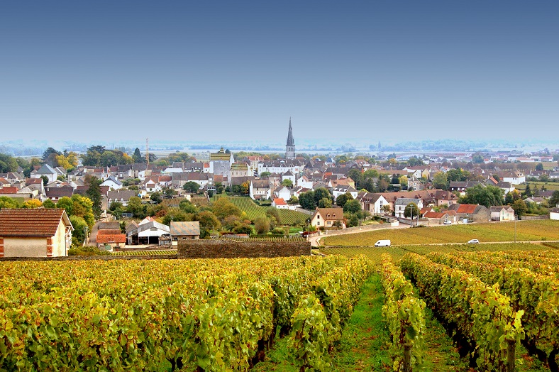 Domaine des Comtes Lafon Meursault