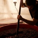 Château Revelette | Le terroir provençal à l’état PUR