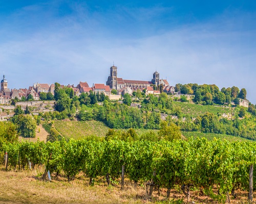 Lire la suite à propos de l’article Exportation de vins | Le boom de la Bourgogne