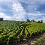 Louis-Benjamin Dagueneau sort de l’AOC Pouilly-Fumé