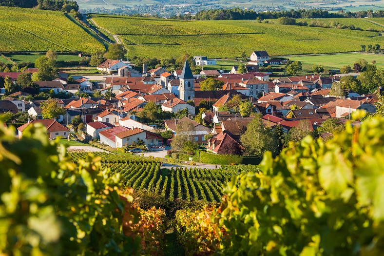 Champagne vin enchères iDealwine