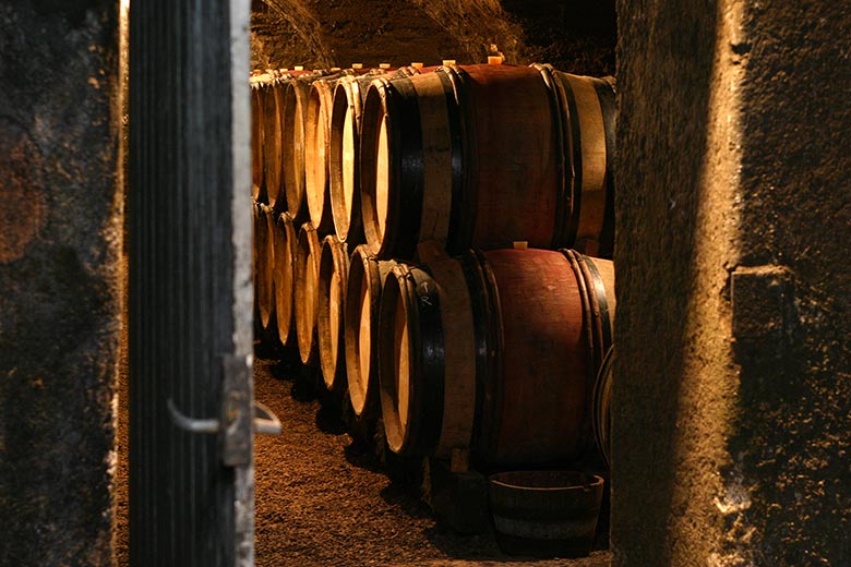 boire-vins-rouges-plus-jeunes-elevage