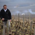 Domaine Michel Bouzereau | L’orfèvre du vin murisaltien