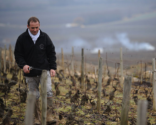 Lire la suite à propos de l’article Domaine Michel Bouzereau | L’orfèvre du vin murisaltien