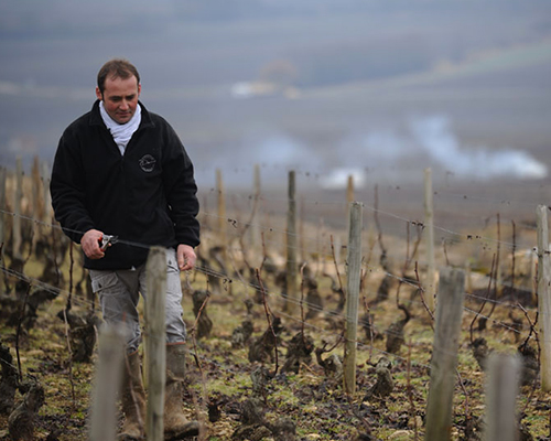 Lire la suite à propos de l’article Domaine Michel Bouzereau | L’orfèvre du vin murisaltien