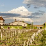 Œnotourisme | Explorez les domaines partenaires d’iDealwine