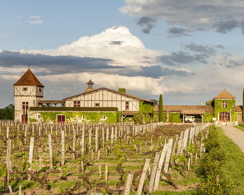 Lire la suite à propos de l’article Œnotourisme | Explorez les domaines partenaires d’iDealwine