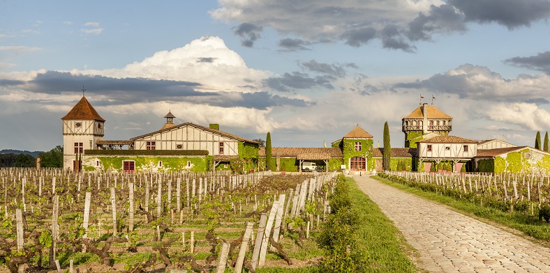 Oenotourisme vin iDealwine vacances été