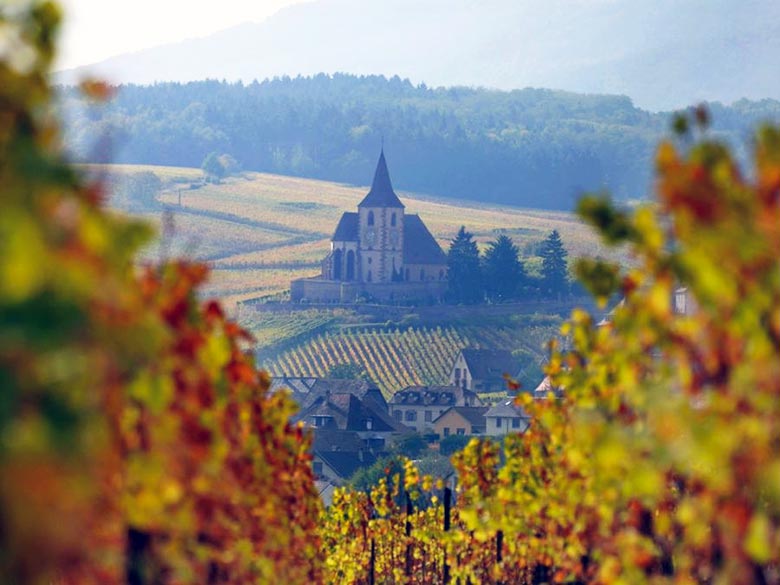 Domaine-Trimbach