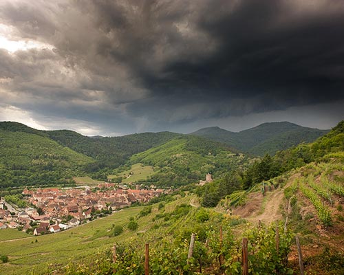Lire la suite à propos de l’article Carte postale 2 : le domaine Weinbach, joyau d’Alsace