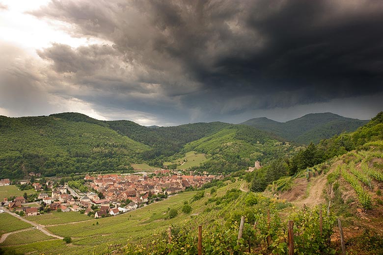 Domaine-Weinbach