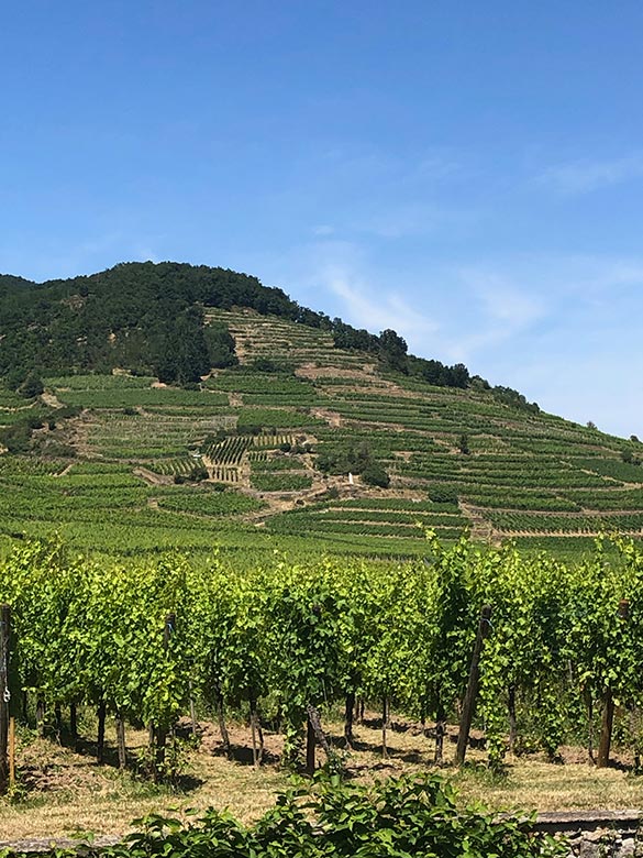Mont-Schlossberg-Weinbach