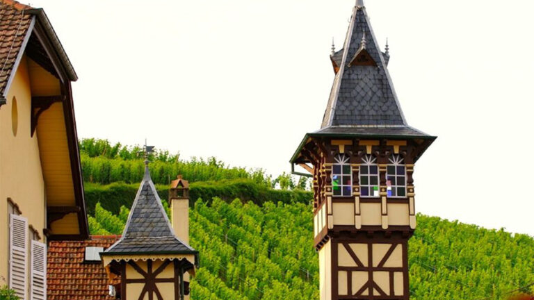 Lire la suite à propos de l’article Trimbach, le riesling en majesté