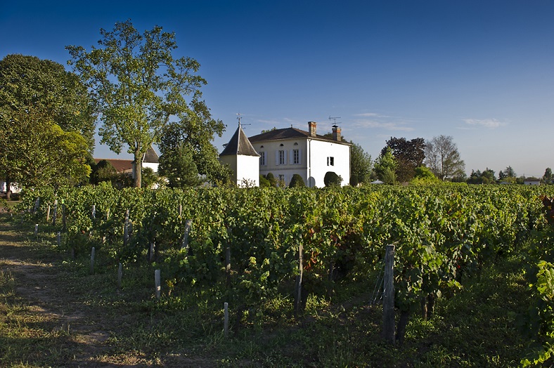 Chateau Quinault l'Enclos Grand Cru Classé iDealwine