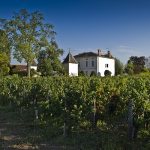 Château Quinault l’Enclos : le saint-émilion grand cru qui tutoie les plus grands