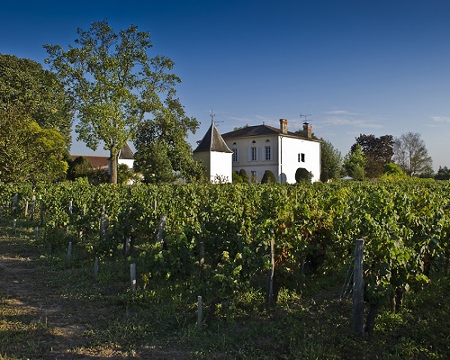 Lire la suite à propos de l’article Château Quinault l’Enclos : le saint-émilion grand cru qui tutoie les plus grands