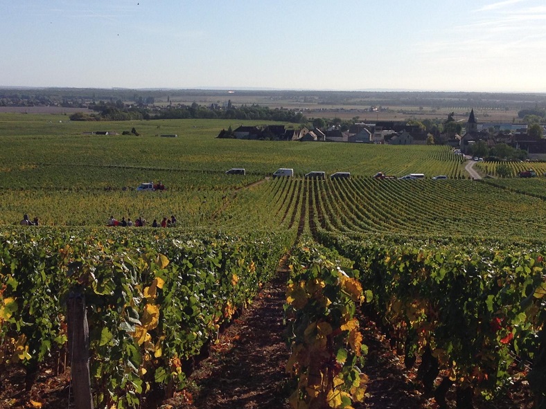 Haut richebourg