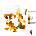 Marché du vin bio : +20% de surface bio en un an et 1 milliard d’euros de ventes en France en 2018