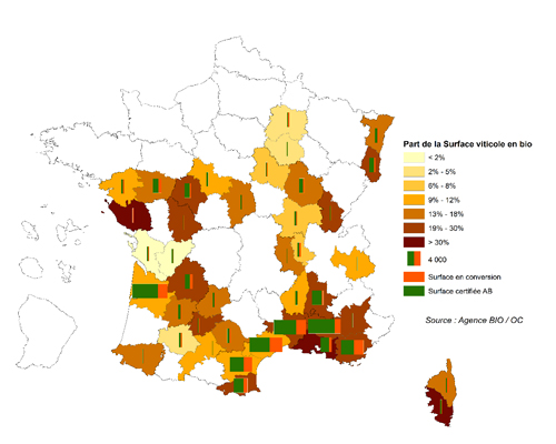 Lire la suite à propos de l’article Marché du vin bio : +20% de surface bio en un an et 1 milliard d’euros de ventes en France en 2018