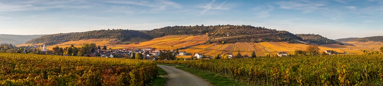 Domaine Pierre Boisson