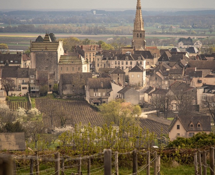 Meursault vignes les grands charrons