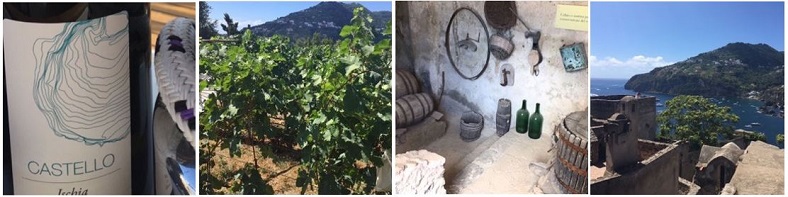 Vins Italie vacances iDealwine