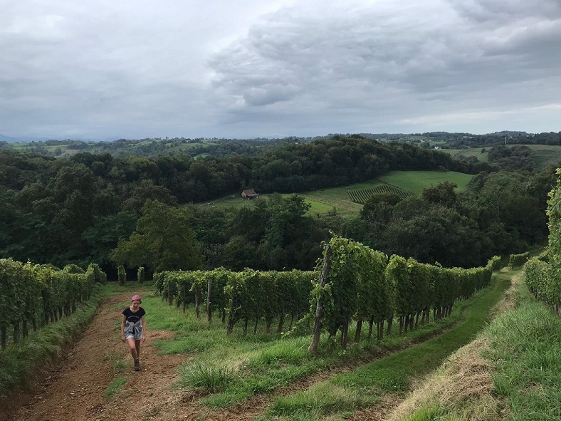 Constance Jurançon Camin Larredya iDealwine vin