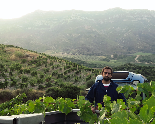 Lire la suite à propos de l’article Jean-Baptiste Arena | L’amour de la Corse, l’amour du vin