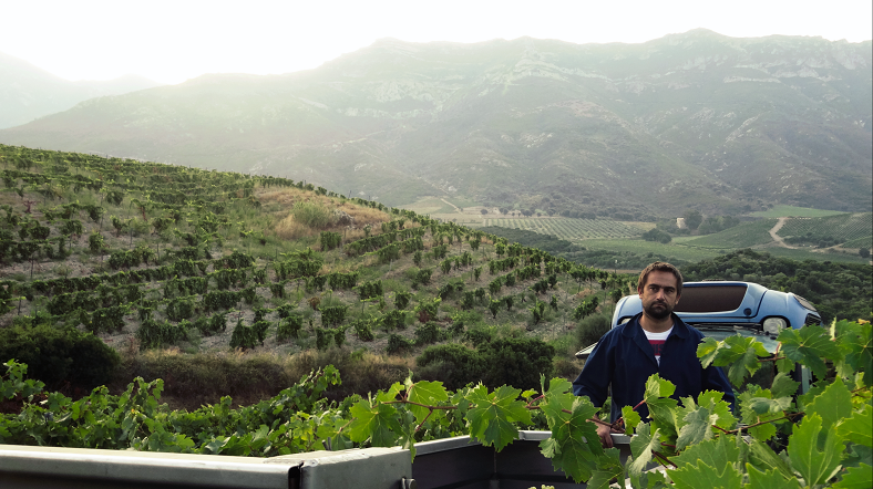 Jean Baptiste Arena Patrimonio iDealwine