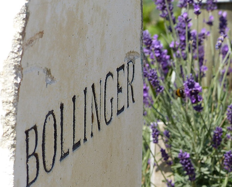 Les champagnes Bollinger signature familiale mythique iDealwine