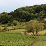 Tout savoir sur la Côte Chalonnaise : Mercurey, Givry et Montagny (partie 2)