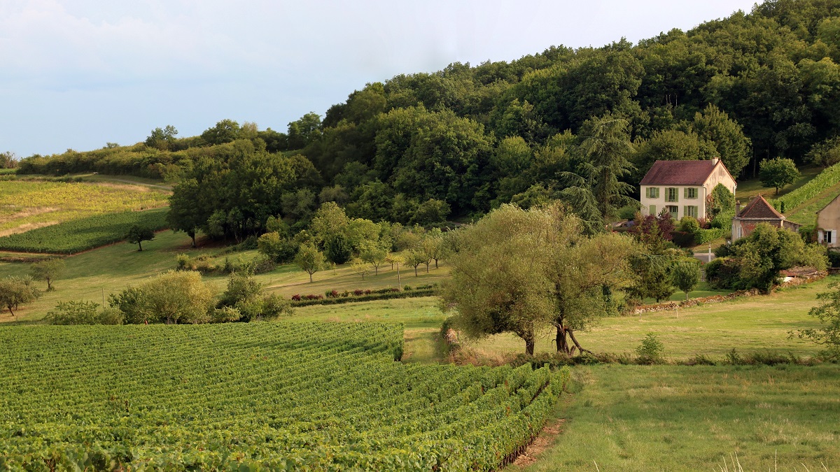 Lire la suite à propos de l’article Tout savoir sur la Côte Chalonnaise : Mercurey, Givry et Montagny (partie 2)