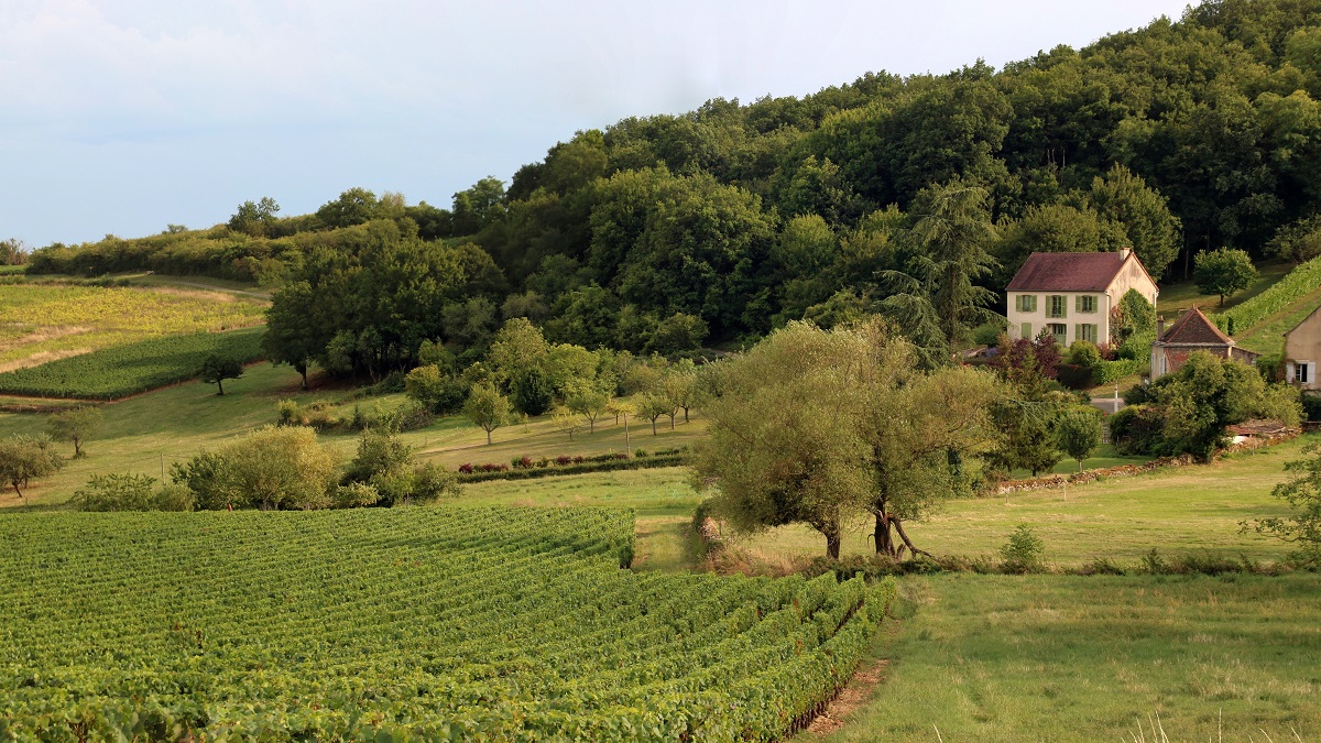 Lire la suite à propos de l’article Tout savoir sur la Côte Chalonnaise – Partie 2