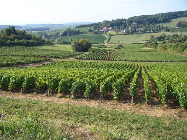 Domaine-des-Moirots