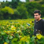 Vincent Dureuil-Janthial, le grand nom de Côte Chalonnaise