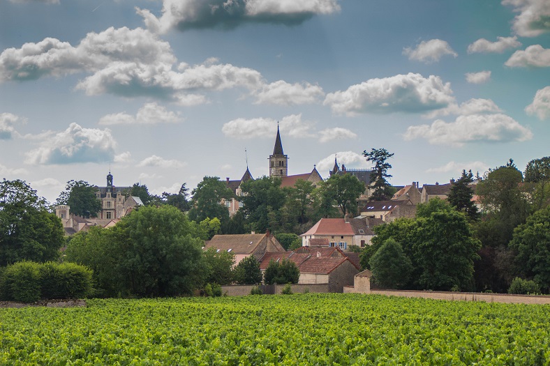 Rully Cote CHalonnaise Bourgogne iDealwine Belleville