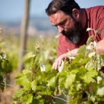 Jean-Baptiste Sénat, vigneron artisan au pays du Minervois