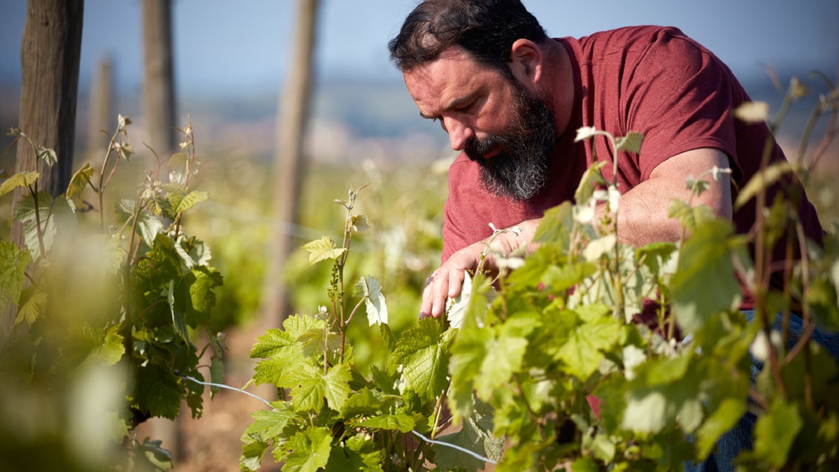 Lire la suite à propos de l’article Jean-Baptiste Sénat, vigneron artisan au pays du Minervois