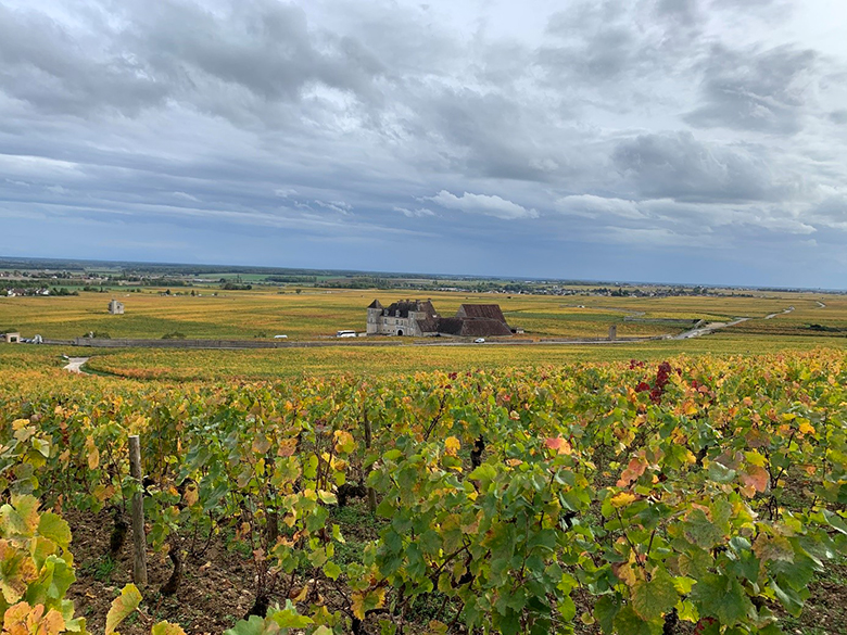 Trophée des climats vignes de Musigny