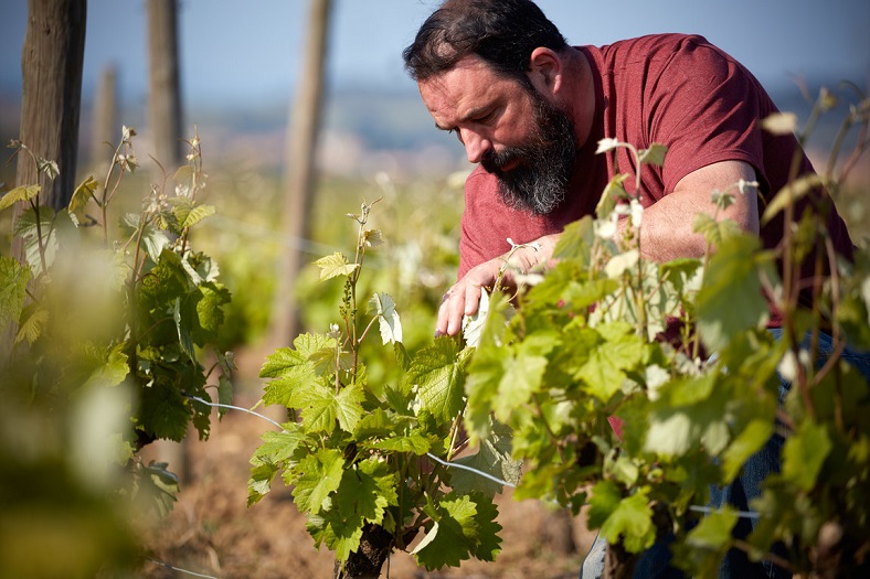 Jean-Baptiste Senat iDealwine vin Languedoc