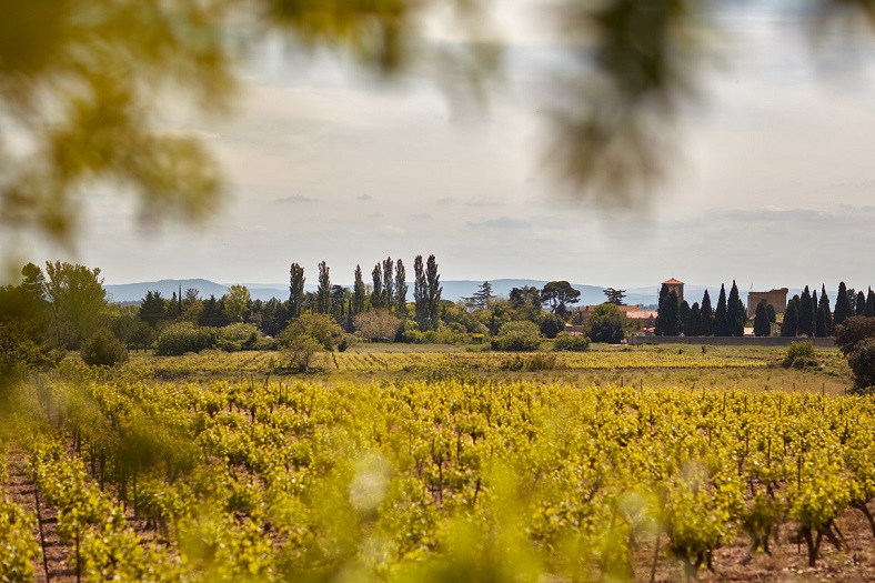 Jean-Baptiste Senat iDealwine vin Languedoc