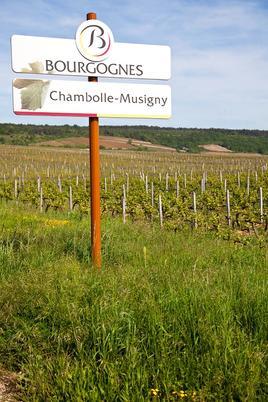 Chambolle-musigny vin Bourgogne iDealwine