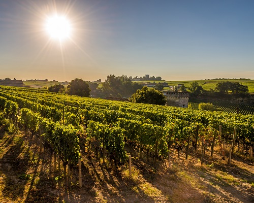 Lire la suite à propos de l’article Château Pierre 1er | Un trésor caché mais accessible à Saint-Emilion