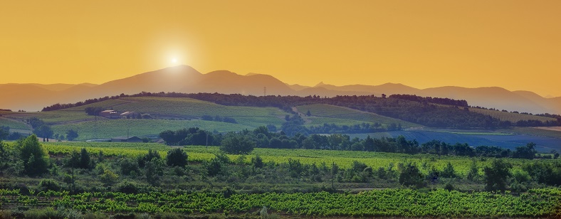 vin nature Rhône Matthieu Dumarcher