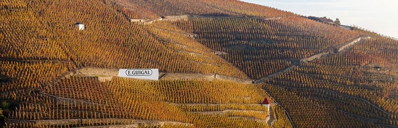 Côte Rotie Guigal