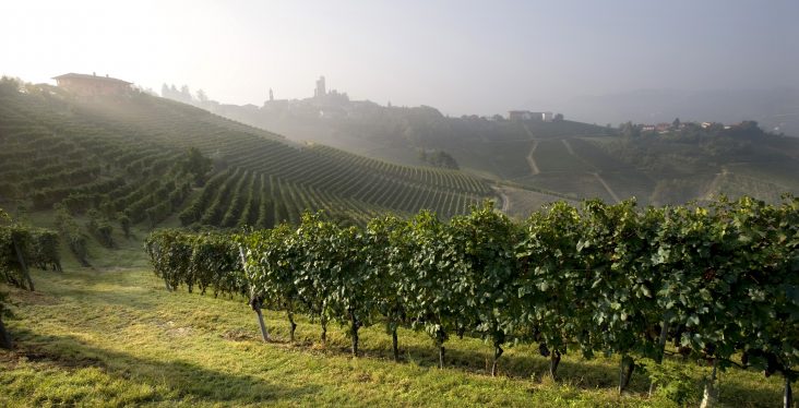 Domaine Vietti Langhe italie vin iDealwine Barolo