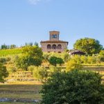 Azienda Ampeleia | Le nouveau succès de la pionnière de la biodynamie italienne