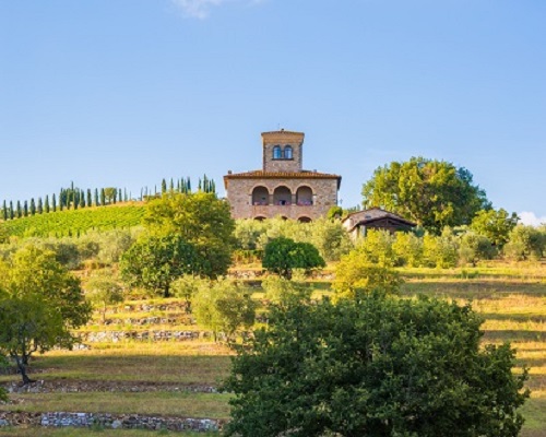 Lire la suite à propos de l’article Azienda Ampeleia | Le nouveau succès de la pionnière de la biodynamie italienne